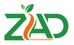 WhatsApp Image 2025-08-12 at 20.41.22_c7c33a89